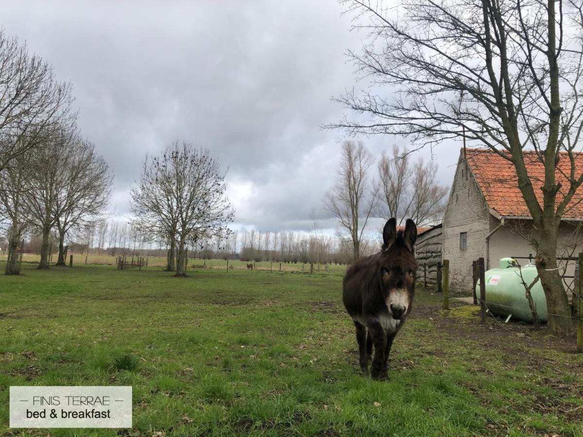 Appartement Aan Puyenbroeck Wachtebeke Exterior foto